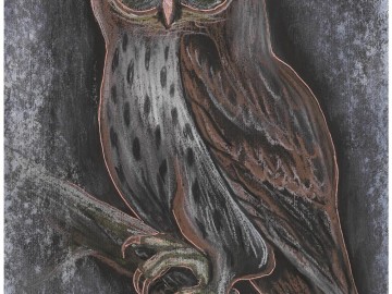 Wyniki konkursu Portret sowy, 